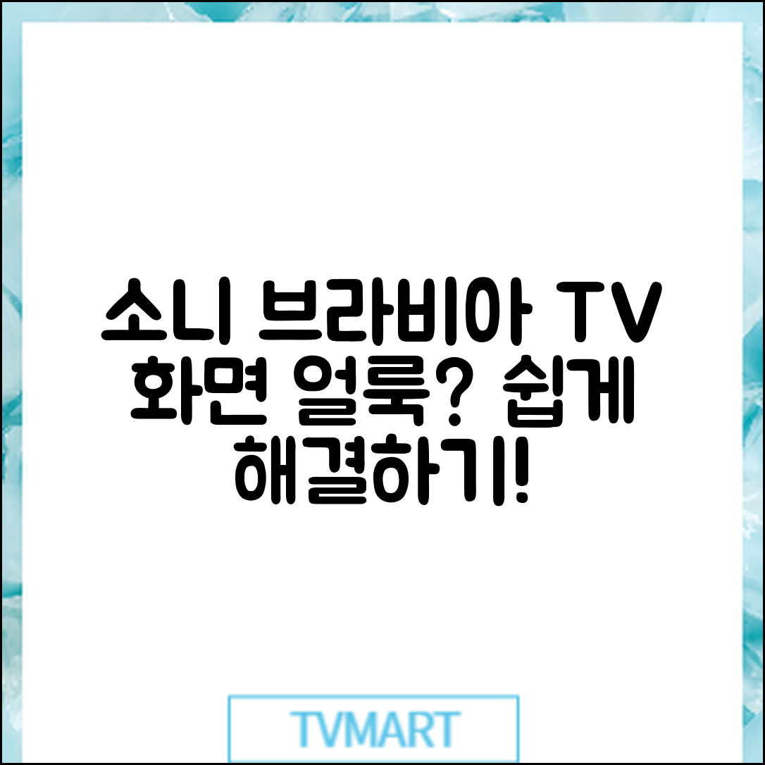 누구나 쉽게 해결하는 소니 브라비아 TV 화면 얼룩 현상
