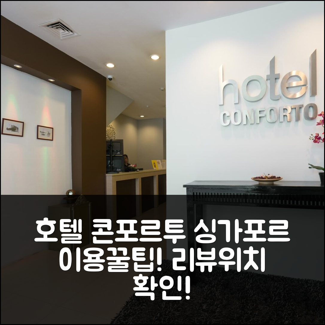 호텔 콘포르투, 싱가포르 위치 후기&꿀팁!