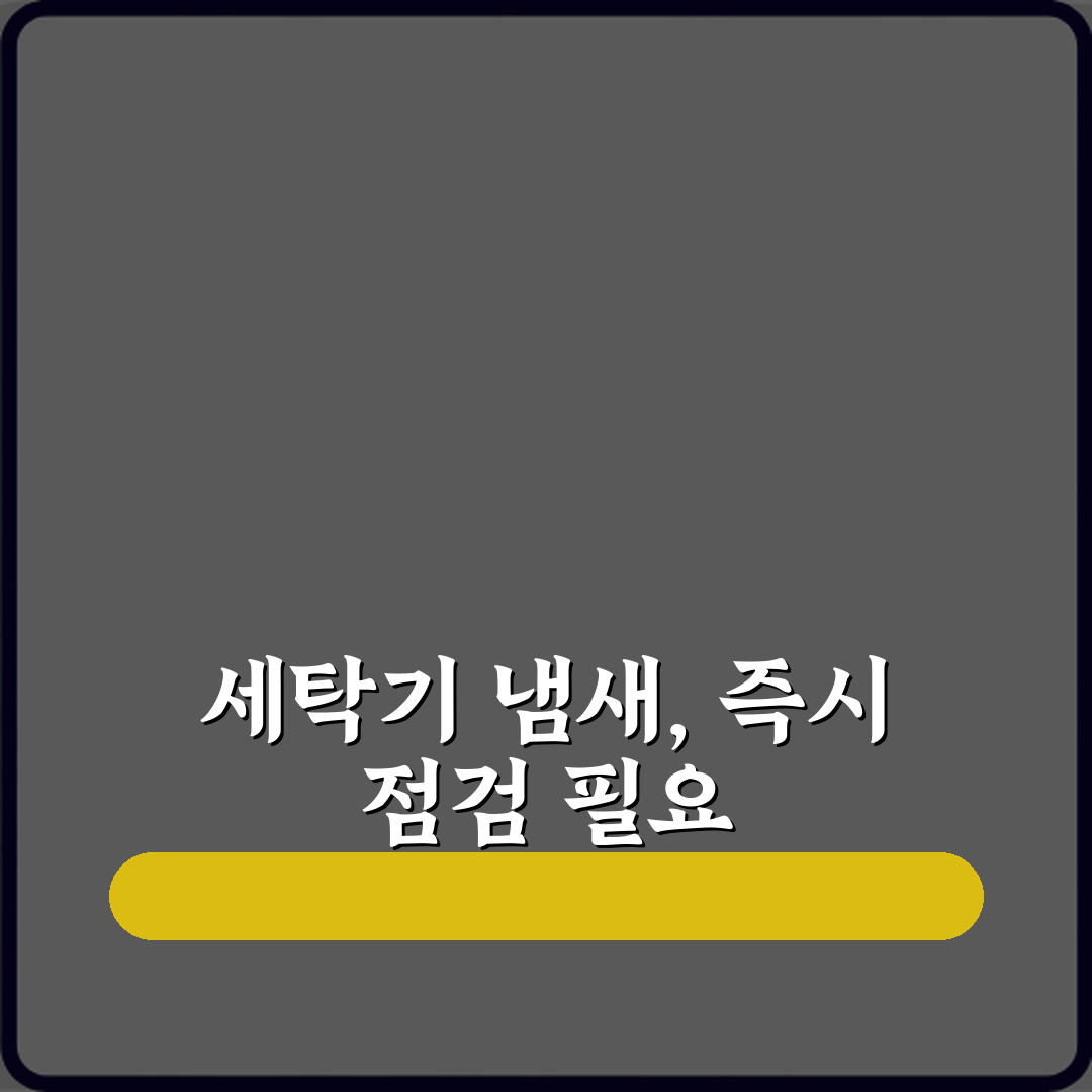 세탁기에서 타는 냄새 날 때 바로 사용 중지해야 하나 체험기, 내 경험 솔직하게 말할게요